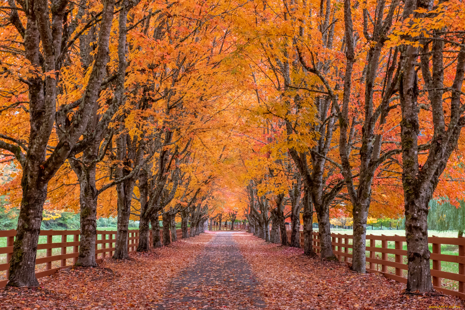 �������, ������, ������